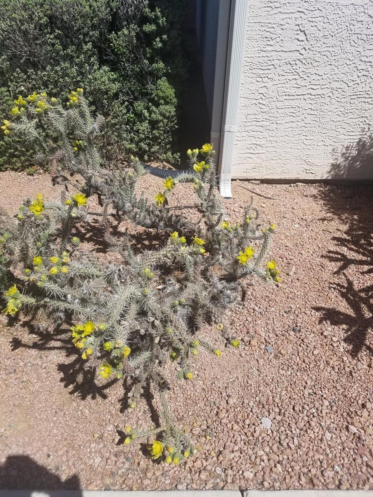 Days Inn By Wyndham Camp Verde Arizona Exterior foto
